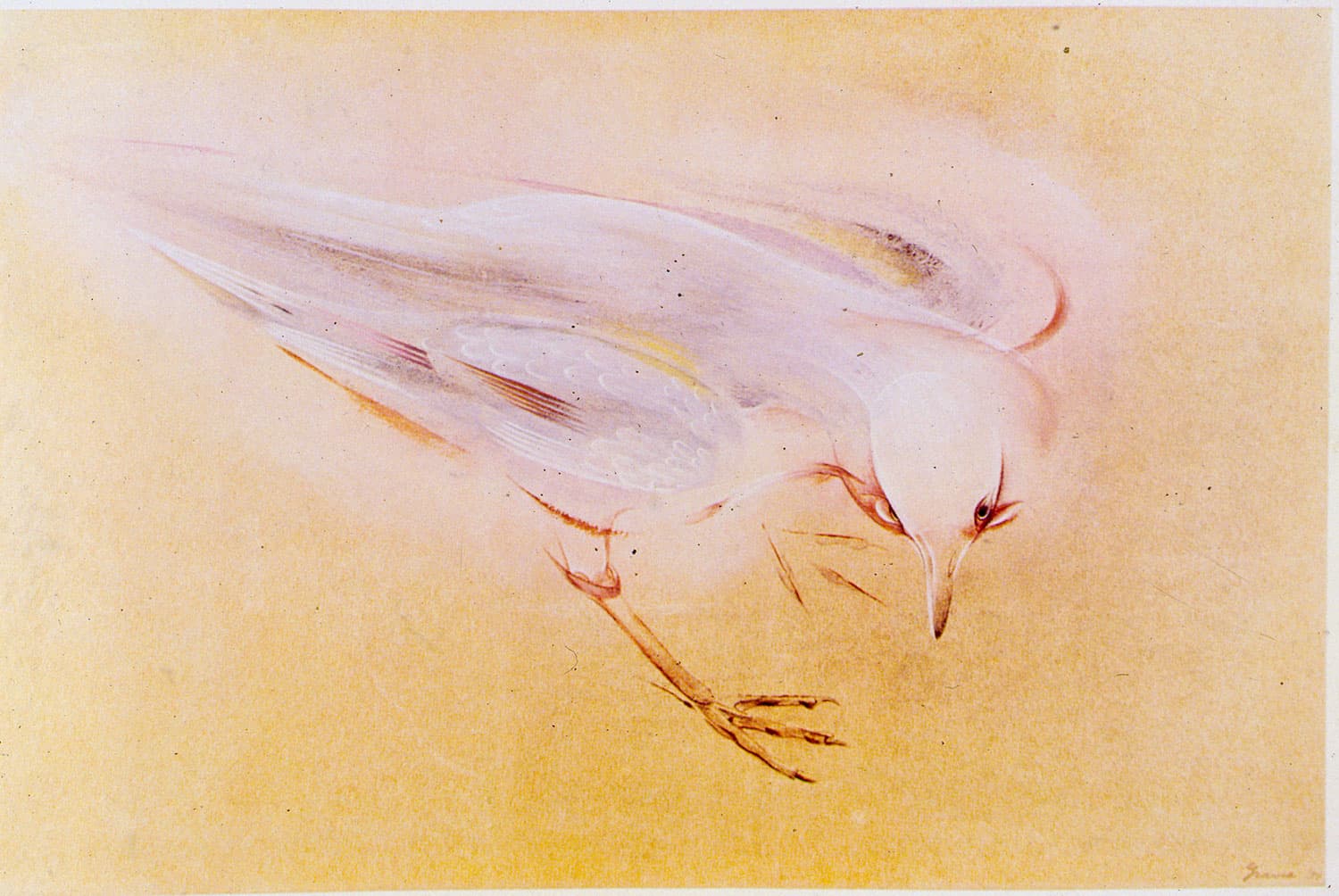 Spirit Bird painting by Morris Graves